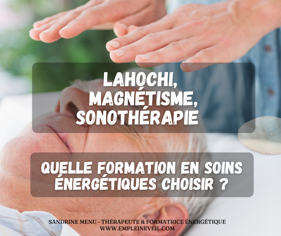 LaHoChi ou Magnétisme : quelle formation choisir en Belgique ?